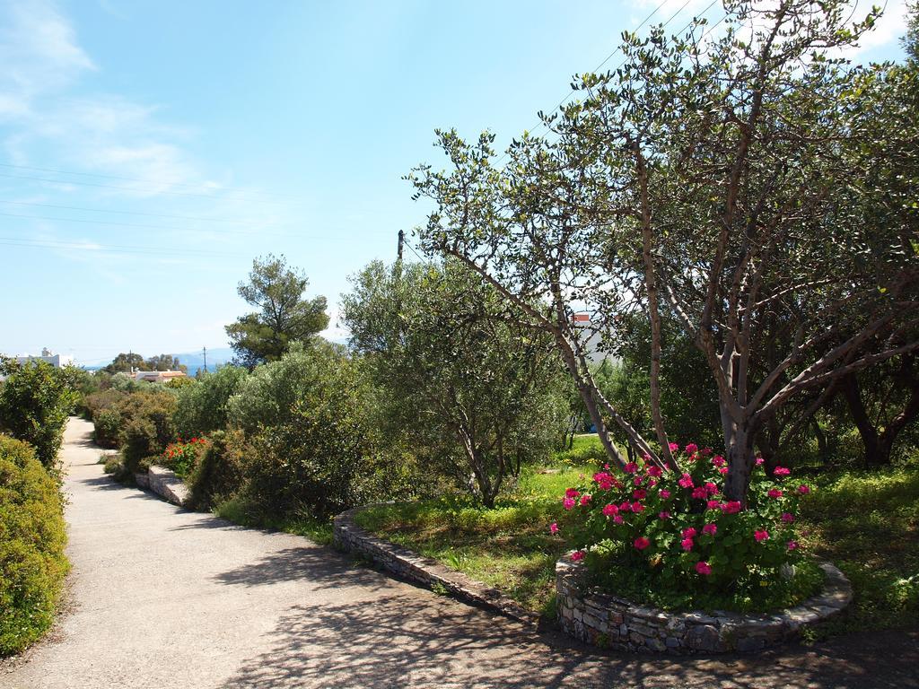 Bayview Apartments Agios Nikolaos  Bagian luar foto
